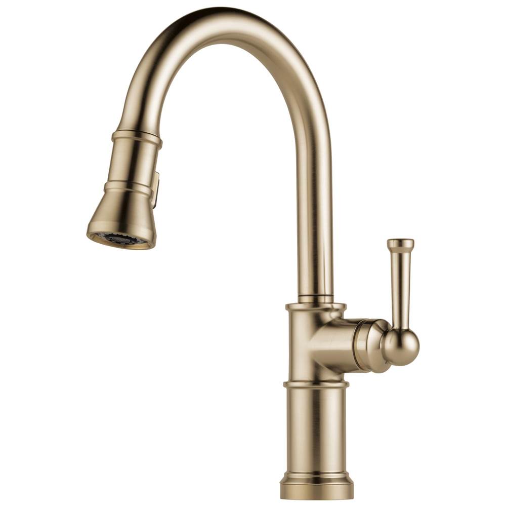 Brizo Retractable Faucets Kitchen Faucets item 63025LF-GL