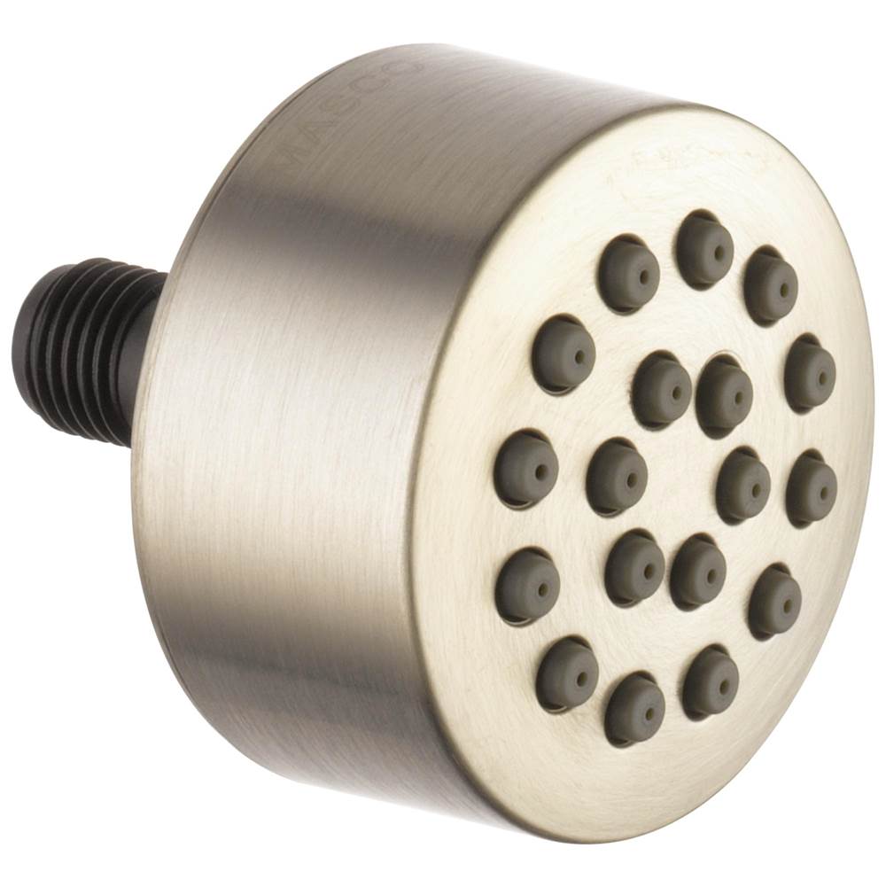 Brizo Bodysprays Shower Heads item SH84103-BN